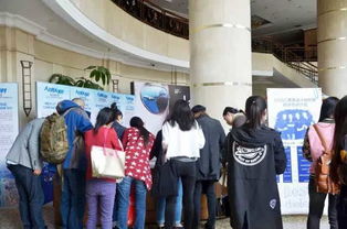 舞美,基礎(chǔ)知識(shí)