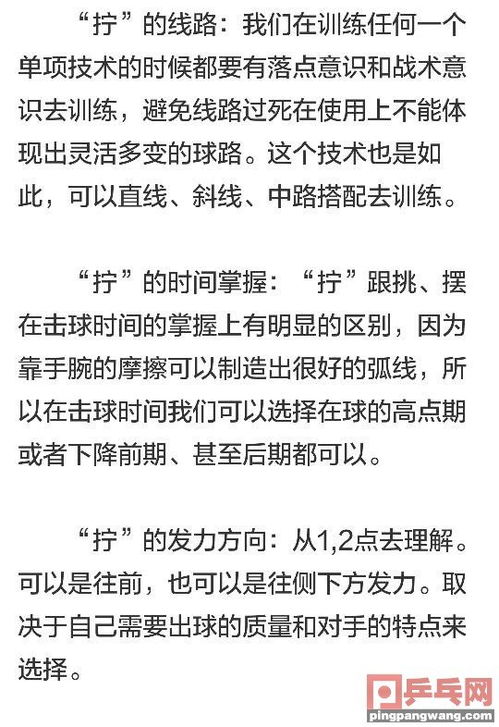 乒乓球基礎(chǔ)知識(shí)試卷