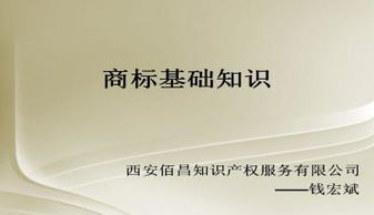 商標(biāo)業(yè)務(wù)基礎(chǔ)知識(shí)