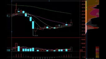 股票入基礎知識