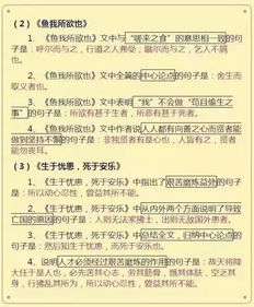 基礎(chǔ)知識(shí)還是不扎實(shí)