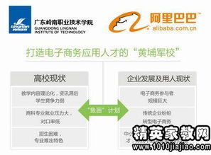 已具備的專業(yè)基礎(chǔ)知識