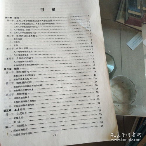 知識點,人體,基礎(chǔ)