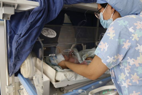 高危孕產(chǎn)婦基礎(chǔ)知識(shí)