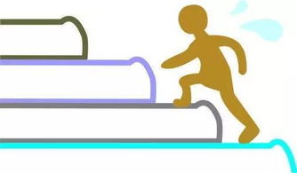 社會(huì)公共基礎(chǔ)知識包括