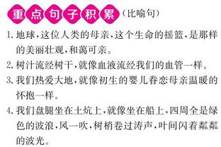 人教版,基礎(chǔ)知識(shí),語文,競(jìng)賽題