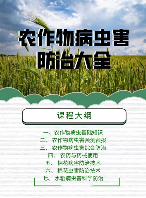 作物病蟲害基礎(chǔ)知識