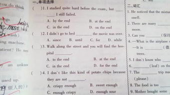 初2英語(yǔ)基礎(chǔ)知識(shí)點(diǎn)