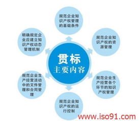 企業(yè)產(chǎn)權(quán)管理基礎(chǔ)知識(shí)