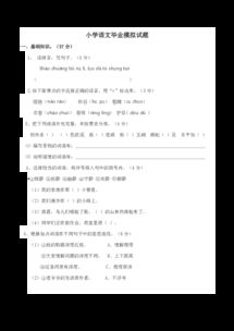 基礎(chǔ)知識,試卷,小學(xué)畢業(yè),語文