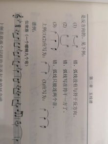 樂理基礎(chǔ)知識連音線