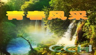 基礎知識,搭配,色彩,服裝