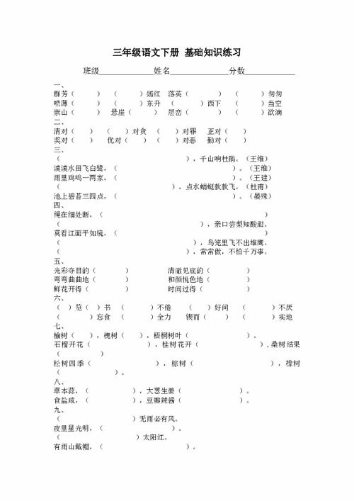 基礎(chǔ)知識,語文,訓(xùn)練