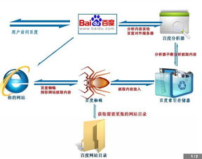 基礎(chǔ)知識(shí),普及,軟件