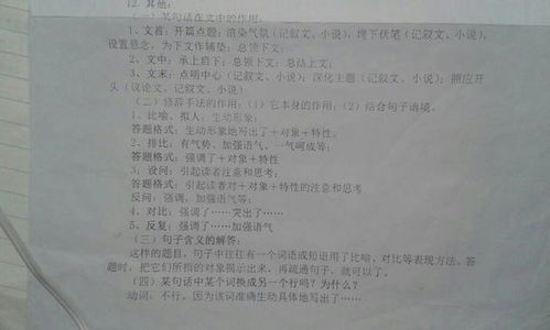 描寫手法的基礎知識