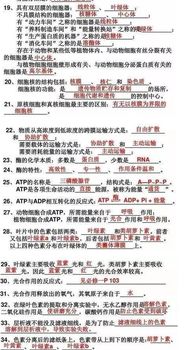 知識點(diǎn),填空,基礎(chǔ)知識,生物