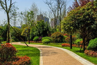 園林綠化基礎(chǔ)知識pdf