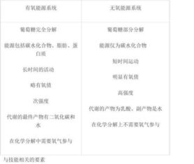 健身基礎(chǔ)理論知識(shí)講解