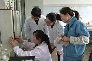 化學(xué)質(zhì)檢員基礎(chǔ)知識