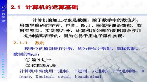 計算機應(yīng)用基礎(chǔ)第二章知識重點