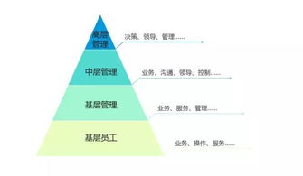 基礎(chǔ)知識,酒店,有哪些