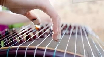 古箏構(gòu)成基礎(chǔ)知識(shí)