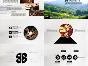 免費(fèi)茶藝基礎(chǔ)知識ppt