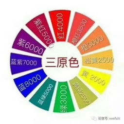 燙染的基礎理論知識