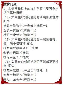 小學(xué)數(shù)學(xué)綜合基礎(chǔ)知識(shí)試題