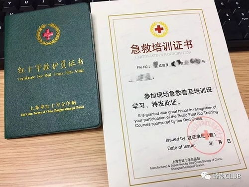 急救基礎(chǔ)知識(shí)證