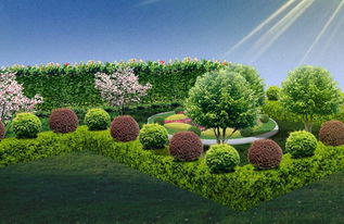 綠化常見(jiàn)的基礎(chǔ)知識(shí)