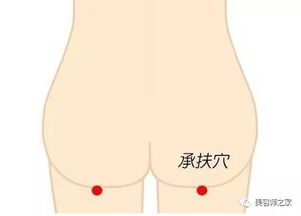 設(shè)備維修與保養(yǎng)基礎(chǔ)知識(shí),工程機(jī)械保養(yǎng)的基礎(chǔ)知識(shí),珠寶首飾的保養(yǎng)基礎(chǔ)知識(shí)?