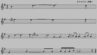 線譜,基礎知識,入門,曲胡五