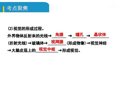 期中,基礎(chǔ)知識(shí)