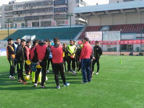 足球教練員培訓(xùn)心得體會,江蘇省足球教練員培訓(xùn),足球c級教練員培訓(xùn)