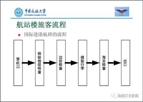 樁基礎(chǔ)知識培訓(xùn)