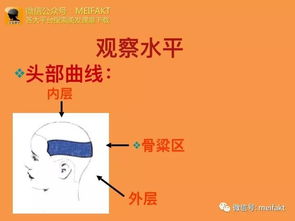 剪發(fā)原理基礎(chǔ)知識