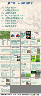 水稻基礎知識測試題