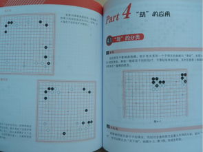 基金入門(mén)基礎(chǔ)知識(shí)書(shū)籍,圍棋入門(mén)基礎(chǔ)知識(shí)介紹,圍棋入門(mén)布局基礎(chǔ)知識(shí)