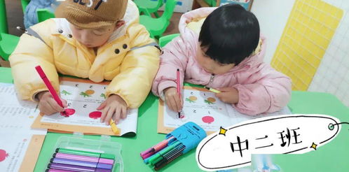 中班幼兒基礎(chǔ)知識(shí)分析