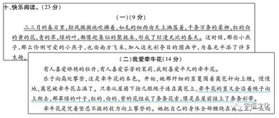 注重基礎(chǔ)知識(shí)的積累