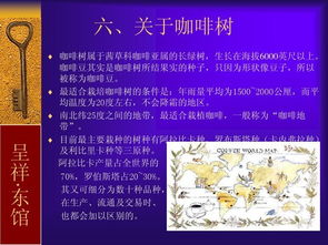 基礎(chǔ)知識(shí),入門,咖啡