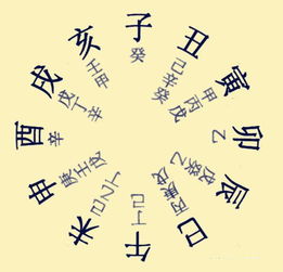 百度八字基礎(chǔ)知識