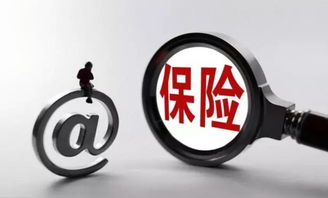 保險(xiǎn)公司條款基礎(chǔ)知識(shí)