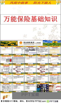 找保險(xiǎn)基礎(chǔ)知識(shí)ppt