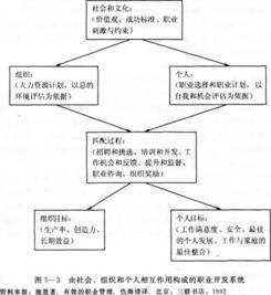 人力資源管理基礎(chǔ)知識(shí)內(nèi)容,人力資源管理基礎(chǔ)知識(shí)要點(diǎn),人力資源管理基礎(chǔ)知識(shí)試題及答案