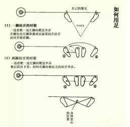 射箭教學基礎知識