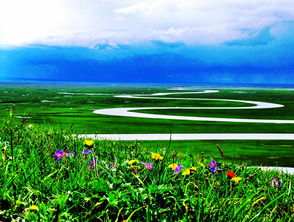 綜合基礎知識和綜合應用能力,綜合基礎知識考試題型,重慶綜合基礎知識