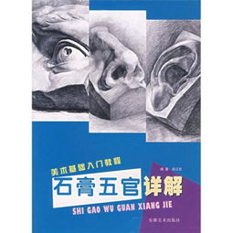 石膏五官基礎(chǔ)理論知識(shí)