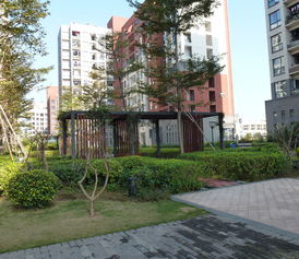 2015綠化專業(yè)基礎(chǔ)知識(shí)培訓(xùn)